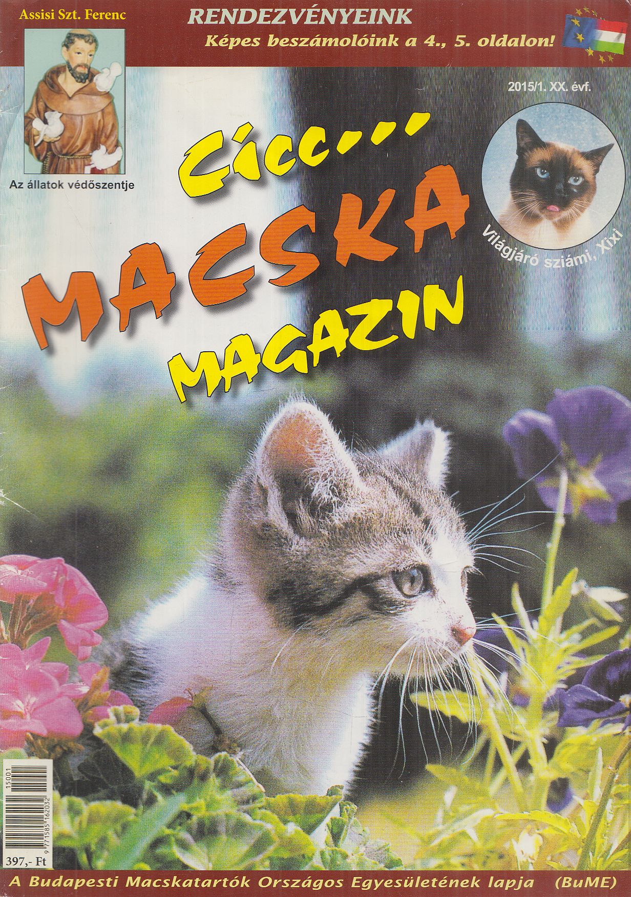 Dr. Tóth Lászlóné - Cicc... Macska Magazin 2015/1.