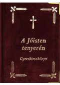  - A Jóisten tenyerén - gyerekimakönyv