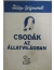 termék kép