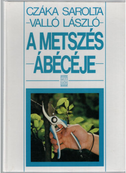 Valló László, Czáka Sarolta - A metszés ábécéje Valló László, Czáka Sarolta - A metszés ábécéje, Budapest 1995 antikvár könyv