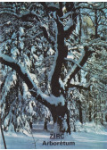Temesi Ida - Zirc - Arborétum