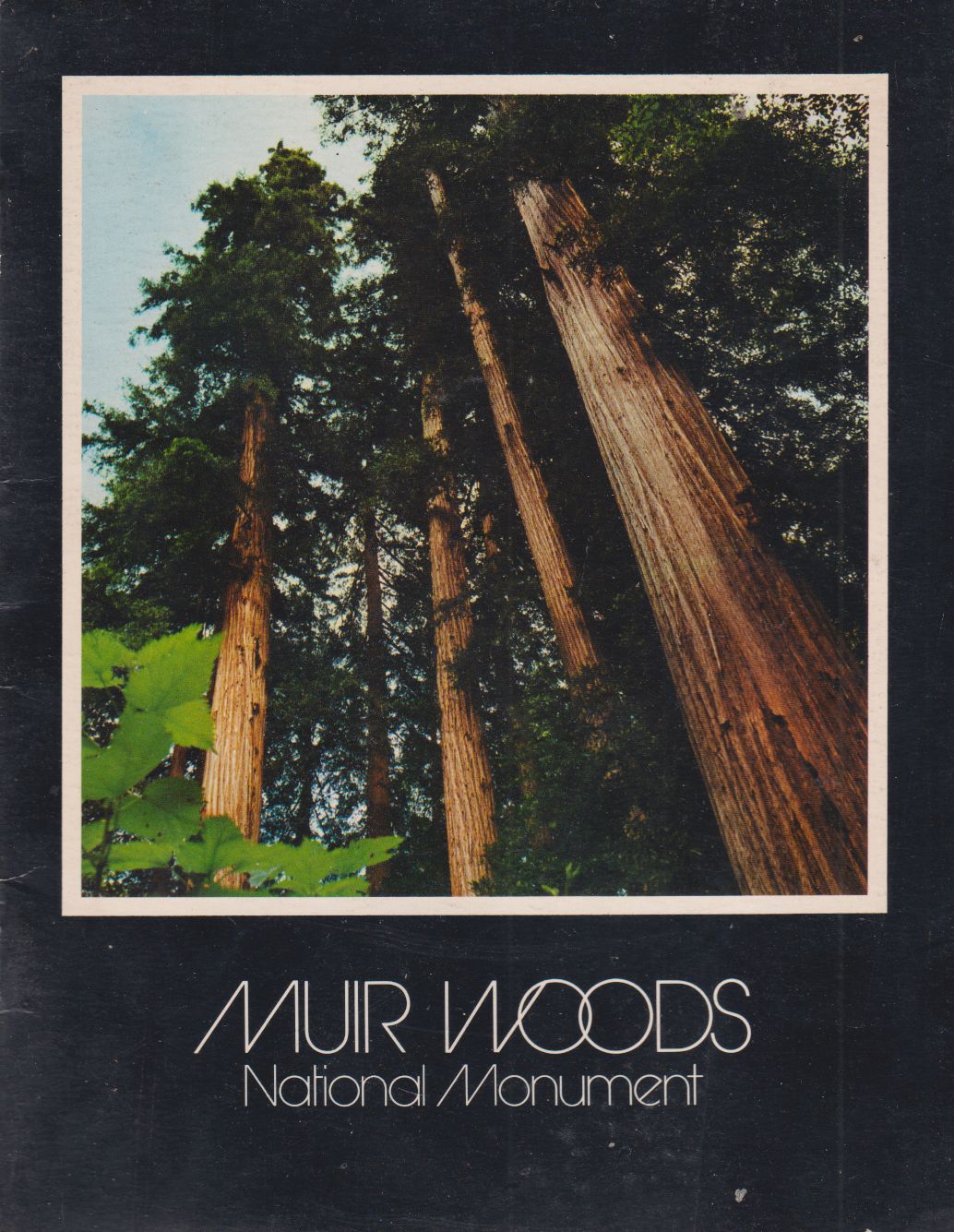 Joseph B. Strauss - Muir Woods Joseph B. Strauss - Muir Woods, California 1971 antikvár könyv