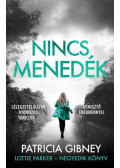 Patricia Gibney - Nincs menedék - Lottie Parker 4.