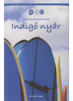 Antje Babendererde - Indigó nyár Antje Babendererde - Indigó nyár, Budapest 2012 antikvár könyv