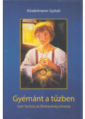 Kindelmann Győző - Gyémánt a tűzben