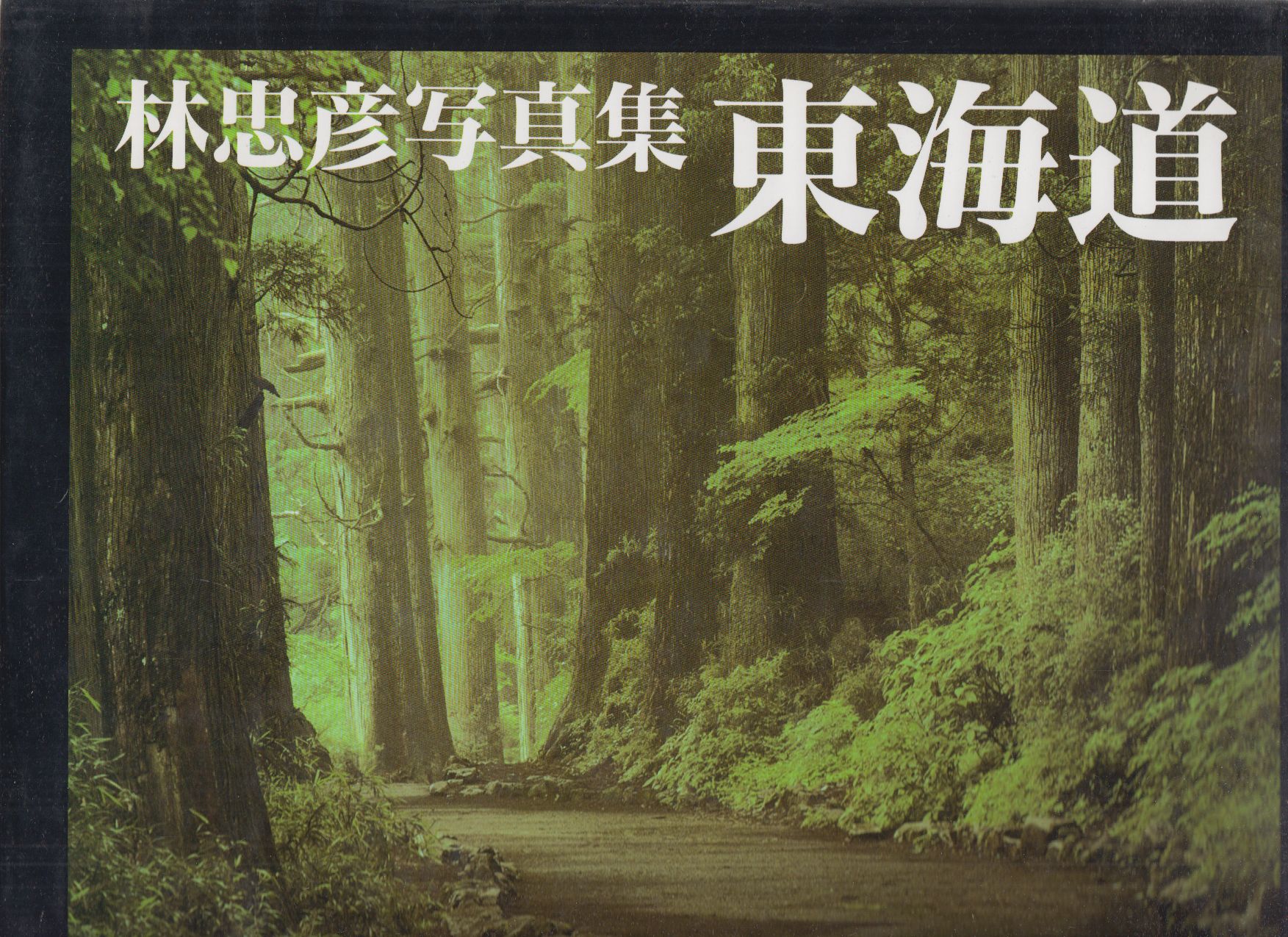 Tadahiko Hayashi - Hayashi Tadahiko fotóalbum: Tokaido (japán) Tadahiko Hayashi - Hayashi Tadahiko fotóalbum: Tokaido (japán), Tokyo 1990 antikvár könyv
