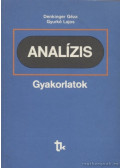 Denkinger Géza,Gyurkó Lajos - Analízis gyakorlatok
