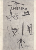Bereczky Erzsébet (szerk.) - Kafka: Amerika