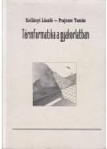 Kollányi László,Prajczer Tamás - Térinformatika a gyakorlatban