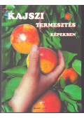Molnár Lajos,Vágó Endre - Kajszitermesztés képekben (dedikált)