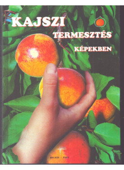 Molnár Lajos, Vágó Endre - Kajszitermesztés képekben (dedikált) Molnár Lajos, Vágó Endre - Kajszitermesztés képekben (dedikált), Kecskemét 1999 antikvár könyv