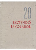 Földi Dezső - Húsz esztendő távolából (minikönyv)