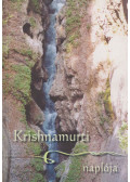 Jiddu Krishnamurti - Krishnamurti naplója