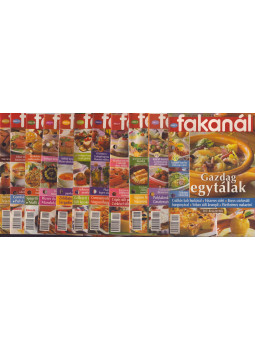 Rohrmann Katalin - Fakanál 2002. (töredék) Rohrmann Katalin - Fakanál 2002. (töredék), Budapest 2002 antikvár könyv