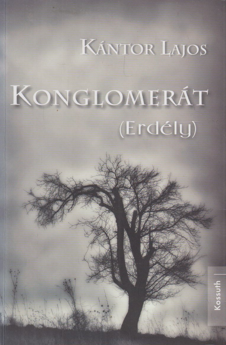 Kántor Lajos - Konglomerát (Erdély) Kántor Lajos - Konglomerát (Erdély), Budapest 2012 antikvár könyv