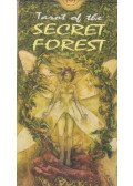 Lucia Mattioli,Pietro Alligo - Tarot of the Secret Forest