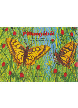 Papp Viktória - Pillangóbál Papp Viktória - Pillangóbál, null 2006 antikvár könyv
