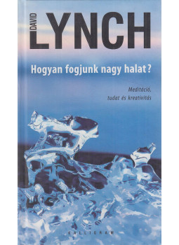Lynch, David - Hogyan fogjunk nagy halat? Lynch, David - Hogyan fogjunk nagy halat?, Pozsony 2007 antikvár könyv