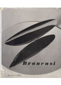 David Lewis - Constantin Brancusi