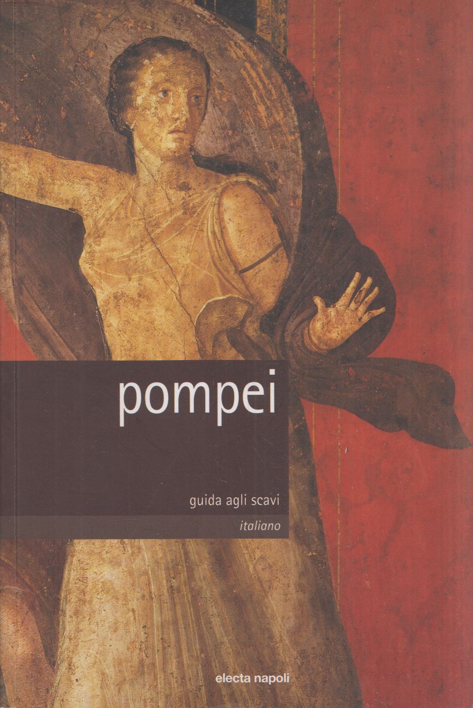 Pier Giovanni Guzzo, Antonio d'Ambrosio - Pompei Pier Giovanni Guzzo, Antonio d'Ambrosio - Pompei, Napoli 2002 antikvár könyv
