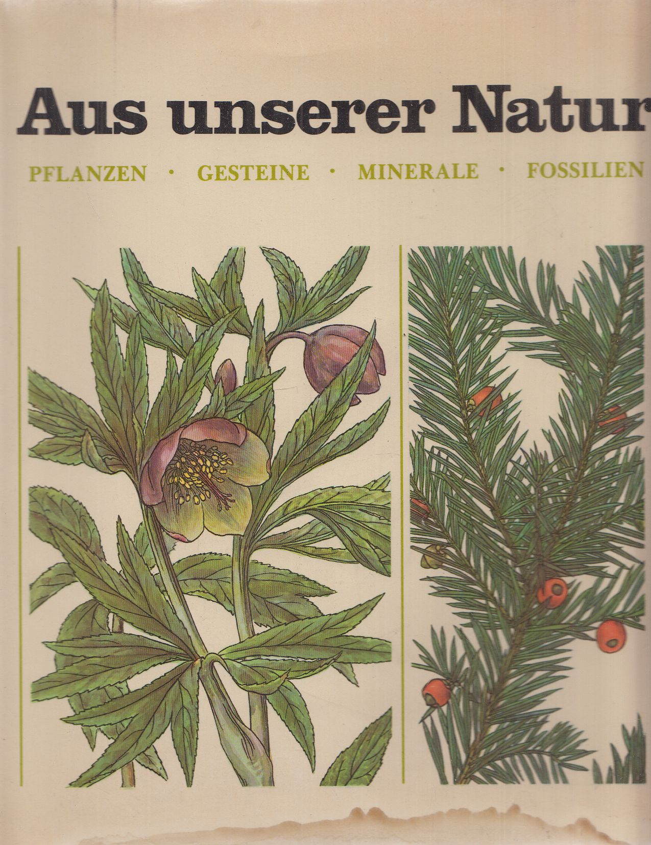 Jindřich Krejča, Martin Červenka, Viera Feráková, Milan Háber, Jaroslav Kresánek, Libusa Paclová, Vojtech Peciar, Ladislav Somsák - Aus unserer Natur Jindřich Krejča, Martin Červenka, Viera Feráková, Milan Háber, Jaroslav Kresánek, Libusa Paclová, Vojtech Peciar, Ladislav Somsák - Aus unserer Natur, Berlin 0 antikvár könyv