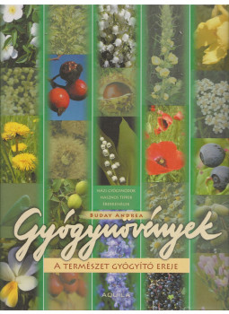 Buday Andrea - Gyógynövények Buday Andrea - Gyógynövények, Debrecen 2007 antikvár könyv