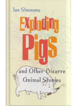 Ian Simmons - Exploding Pigs, New York, New York 2000 antikvár könyv