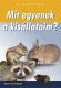 Thumbnail kép