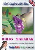 Németh Ervin - Kids' English with Kira - Birds - Madarak
