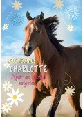 Nele Neuhaus - Charlotte - Nyár az álmok szigetén