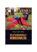 Szabó Gábor,Náray - Elfuserált rendszerváltás