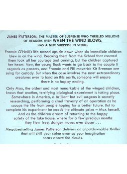 James Patterson - The Lake House James Patterson - The Lake House, null 2003 antikvár könyv
