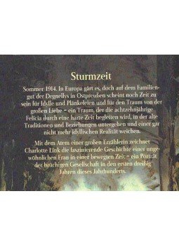 Link, Charlotte - Sturmzeit, null 0 antikvár könyv