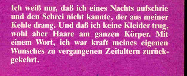Quiroga, Horacio - Geschichten von Liebe, Irrsinn und Tod
