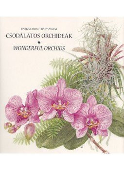 VARGA EMMA, Bary Zsuzsa - Csodálatos orchideák - Wonderful Orchids VARGA EMMA, Bary Zsuzsa - Csodálatos orchideák - Wonderful Orchids, Budapest 2012 antikvár könyv
