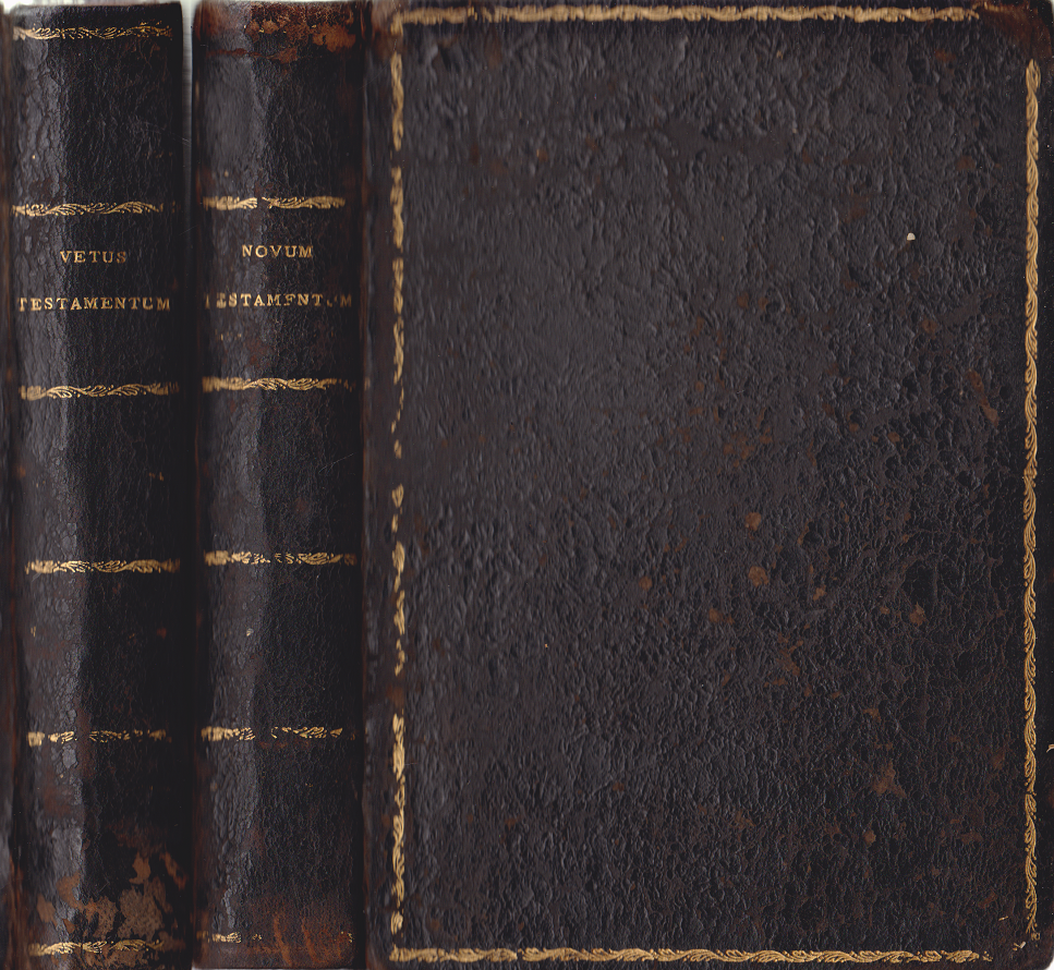  - Képes Biblia – Rézmetszetű illusztrációk az Ó- és Újtestamentumhoz [I–II. kötet]