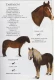 Thumbnail kép