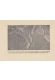 Thumbnail kép