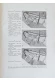 Thumbnail kép